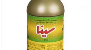 چسب سینا